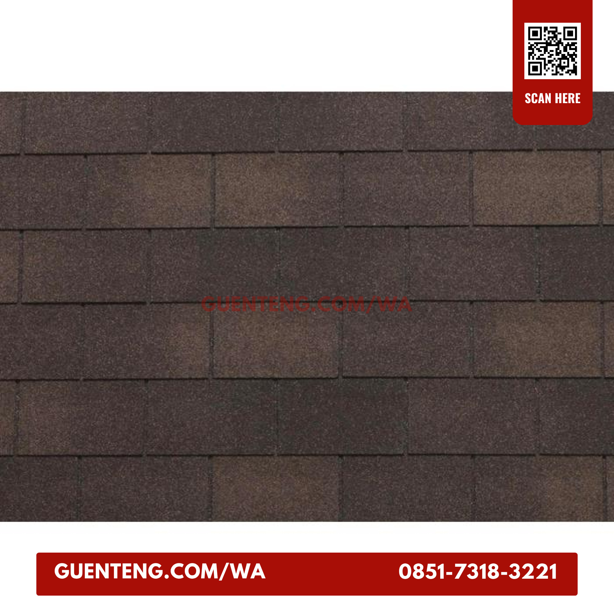 Bardoline Pro Brown