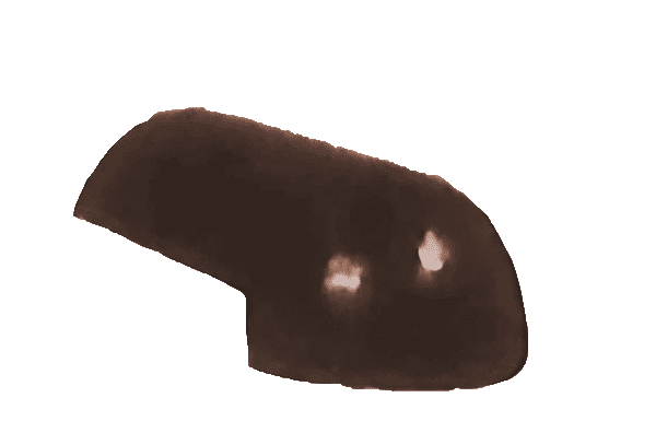 nok ug classic safari elegant brown.png