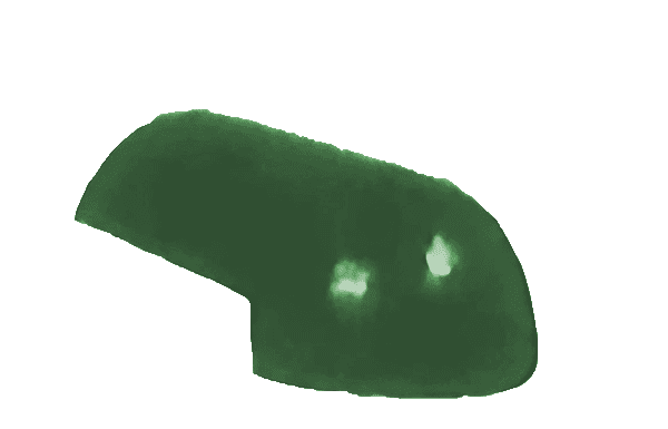 nok ug classic safari forest green.png