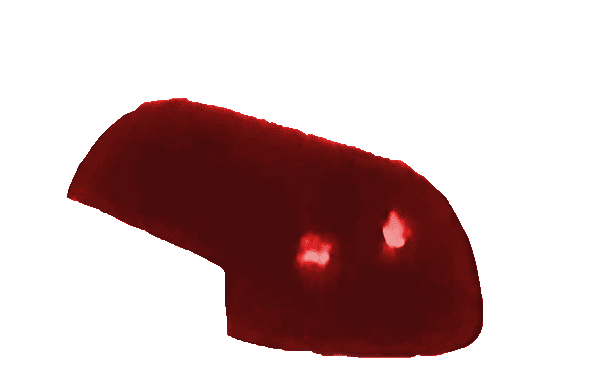 nok ug classic safari midnight red.png