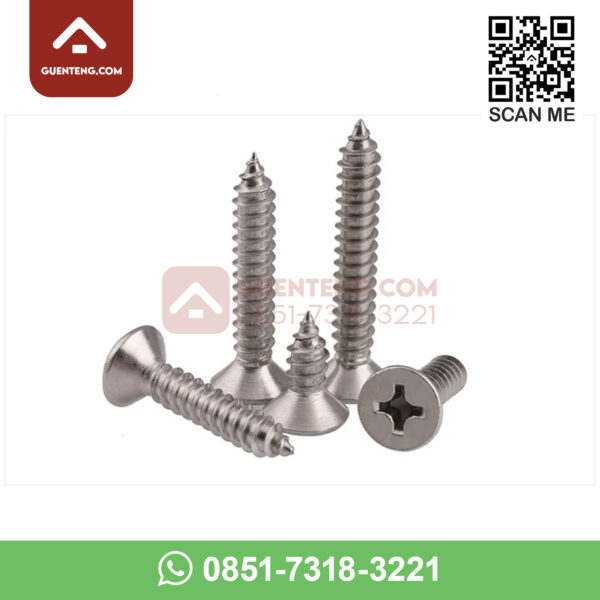 sekrup type a screw for light steel 2 1.jpg